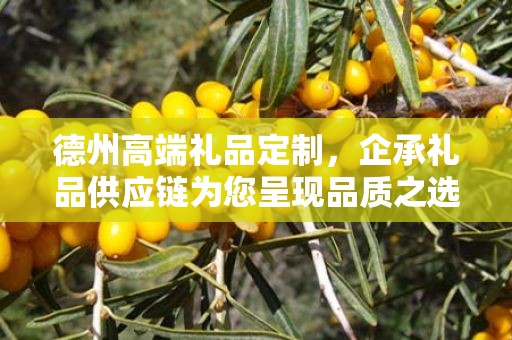 德州高端礼品定制，企承礼品供应链为您呈现品质之选