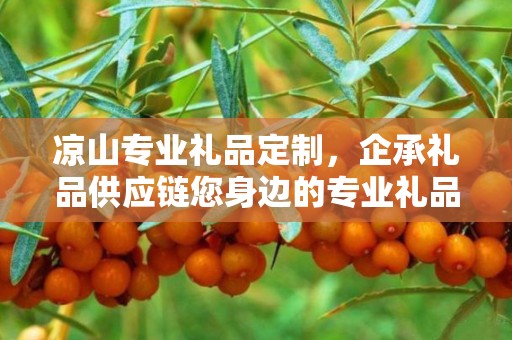 凉山专业礼品定制，企承礼品供应链您身边的专业礼品定制公司