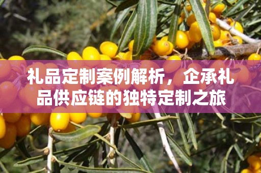 礼品定制案例解析，企承礼品供应链的独特定制之旅
